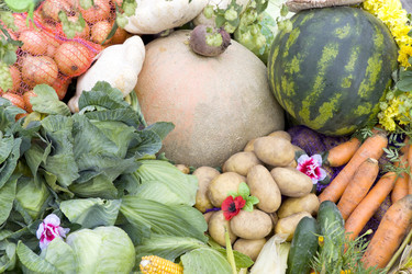 Similar image 584010