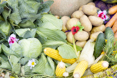 Similar image 584011