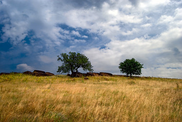 Similar image 584019