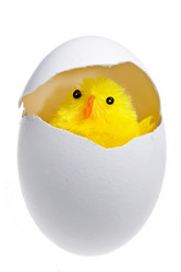 Similar image 584029