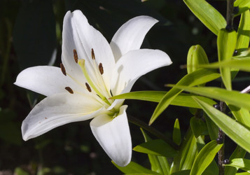 Similar image 584031