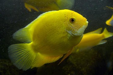 Similar image 584035