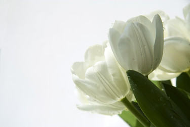 Similar image 584039