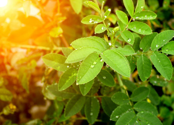 Similar image 584053