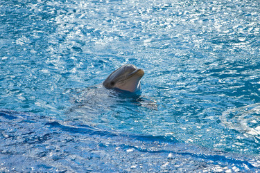 Similar image 584086