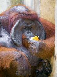 Similar image 584090