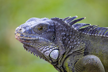 Similar image 584095