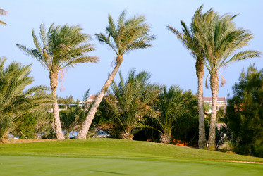 Similar image 584210