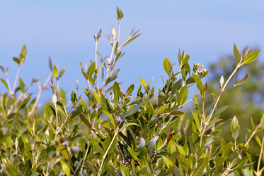 Similar image 584247