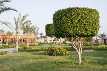 Similar image 584275