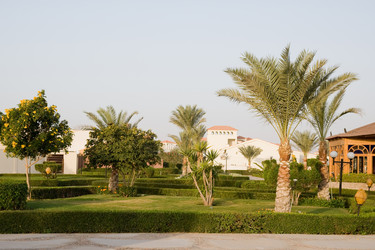 Similar image 584276