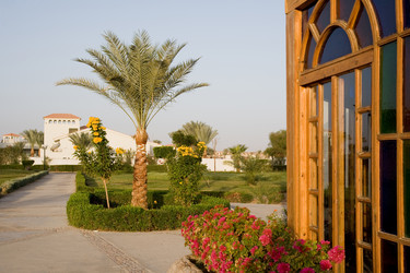 Similar image 584277