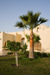 Similar image 584278