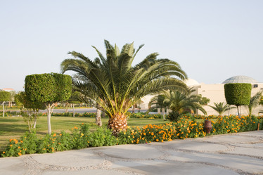 Similar image 584279