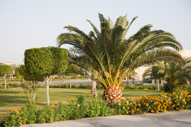 Similar image 584280