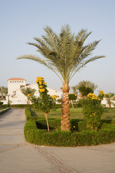 Similar image 584281