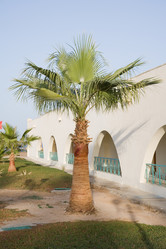 Similar image 584282