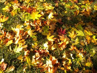 Similar image 584334