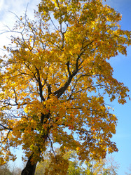 Similar image 584362