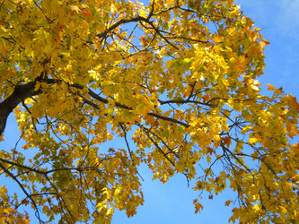 Similar image 584366