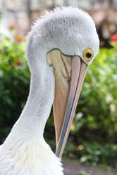 Similar image 584416