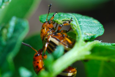 Similar image 584420