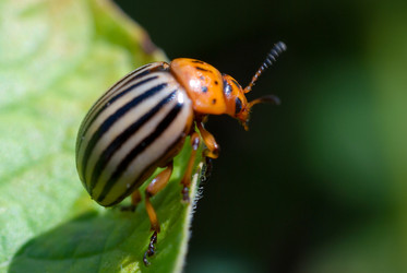 Similar image 584434