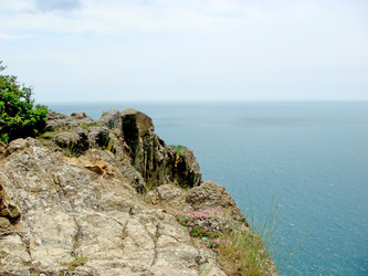 Similar image 584525