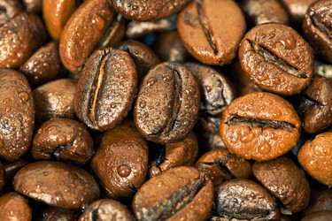 Similar image 584535