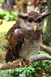 Similar image 584574