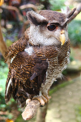 Similar image 584575