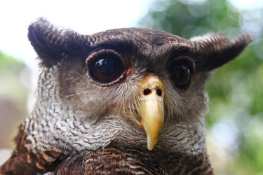 Similar image 584576