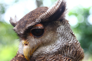 Similar image 584577