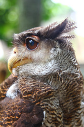 Similar image 584578