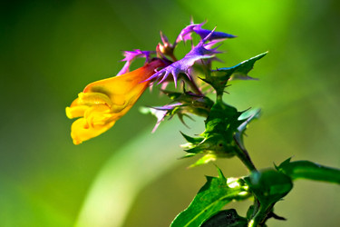 Similar image 584586