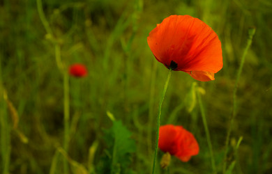 Similar image 584587