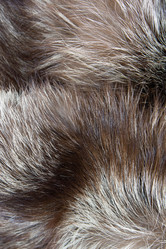 Similar image 584609