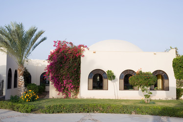 Similar image 584678