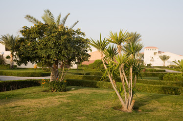 Similar image 584681