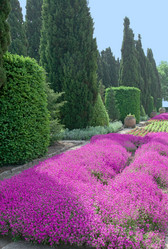 Similar image 584682