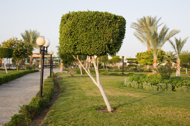 Similar image 584683