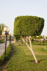 Similar image 584686