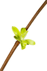 Similar image 584755