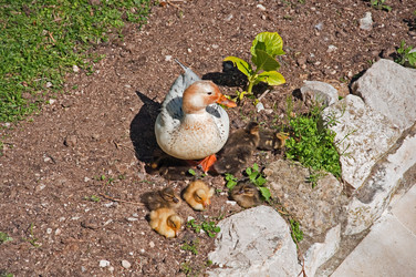 Similar image 584831