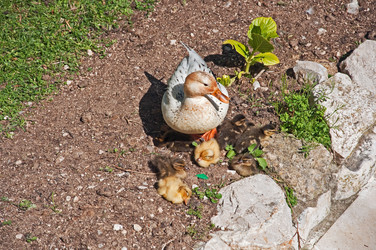 Similar image 584832