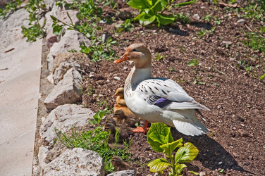 Similar image 584833