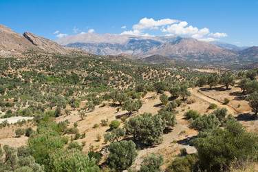 Similar image 584892