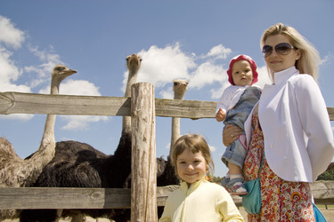 Similar image 584920