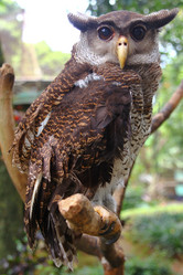 Similar image 584942