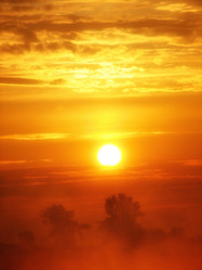 Similar image 585002